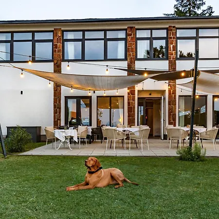 Bed and Breakfast Plage-on Panzio 4*